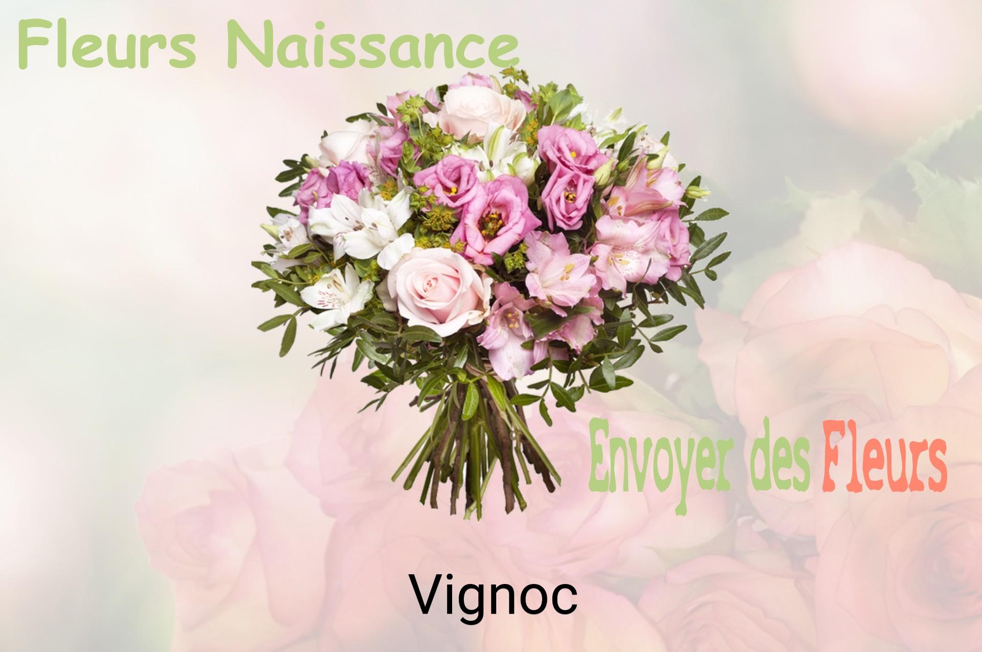Bouquet de fleurs de naissance livré à Vignoc